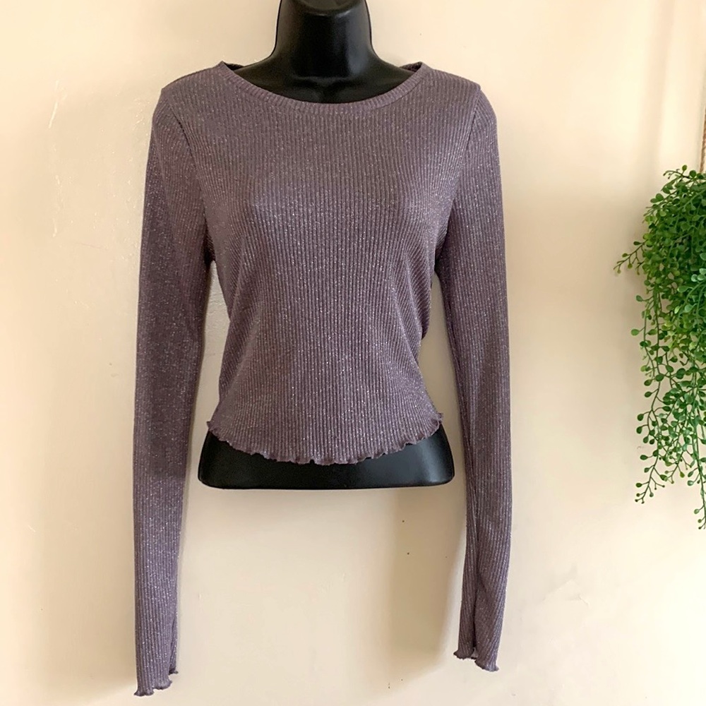 Sheer Purple Blouse